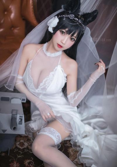 茶杯狐cupfox官网正版