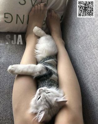 一念永恒第三季在线播放