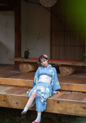 藏海花全集