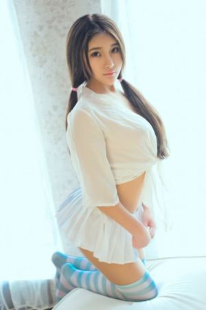 豺狼日记