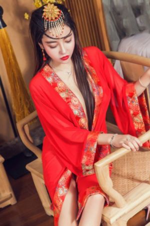 大明王朝1566