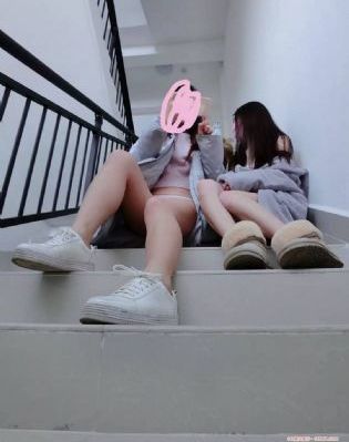姐姐8电视剧免费播放在线观看