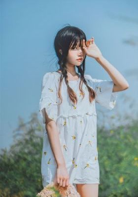 八戒八戒网