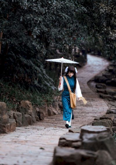 梅花档案 电视剧