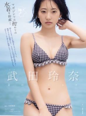 电视剧亮剑